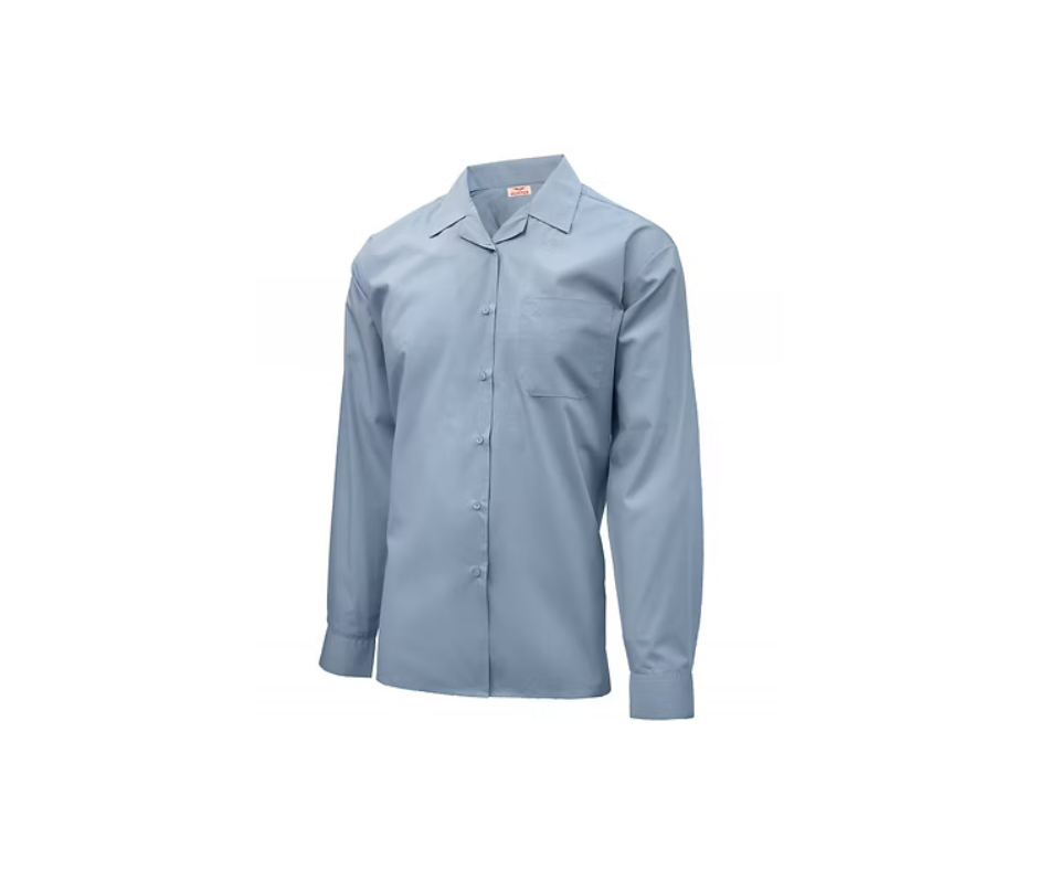 Girls Secondary School Blue Blouse