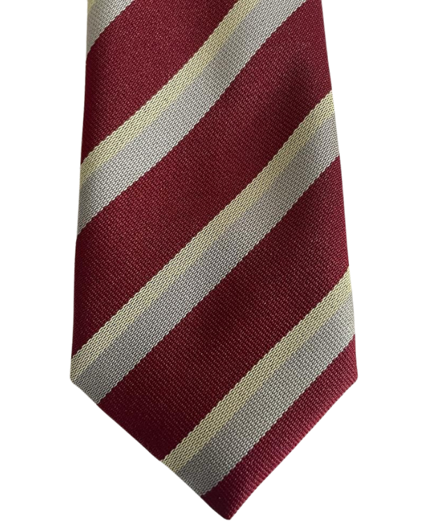 CBS Secondary School Wine Tie